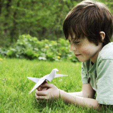 Gutt ligger i gresset og ser på en fugl brettet i papir